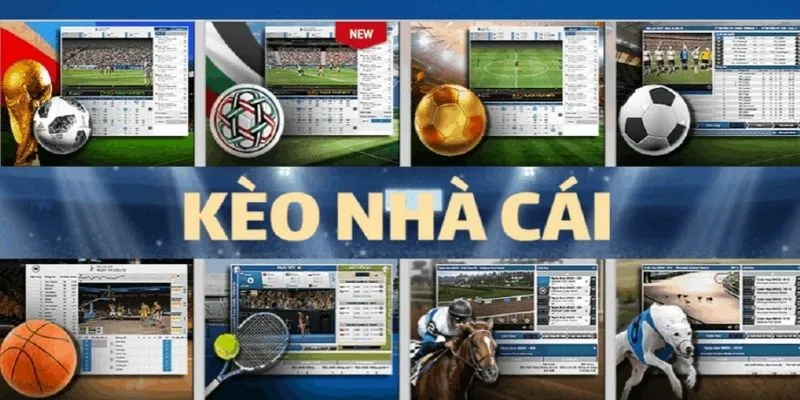 Dự đoán cầu thủ ghi được bao nhiêu bàn cũng được nhiều người ưa thích